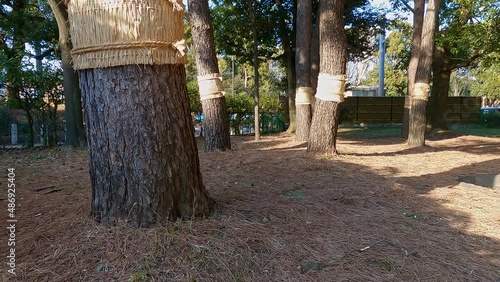 東京都江東区　猿江恩賜公園　こも巻