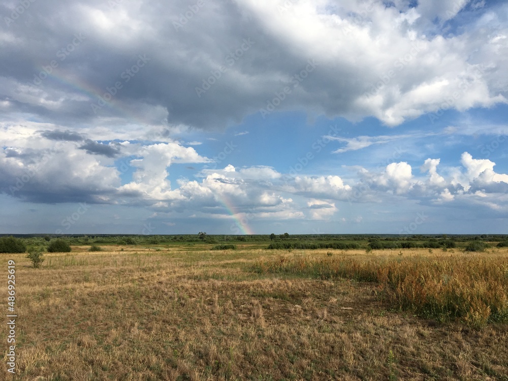 field and sky