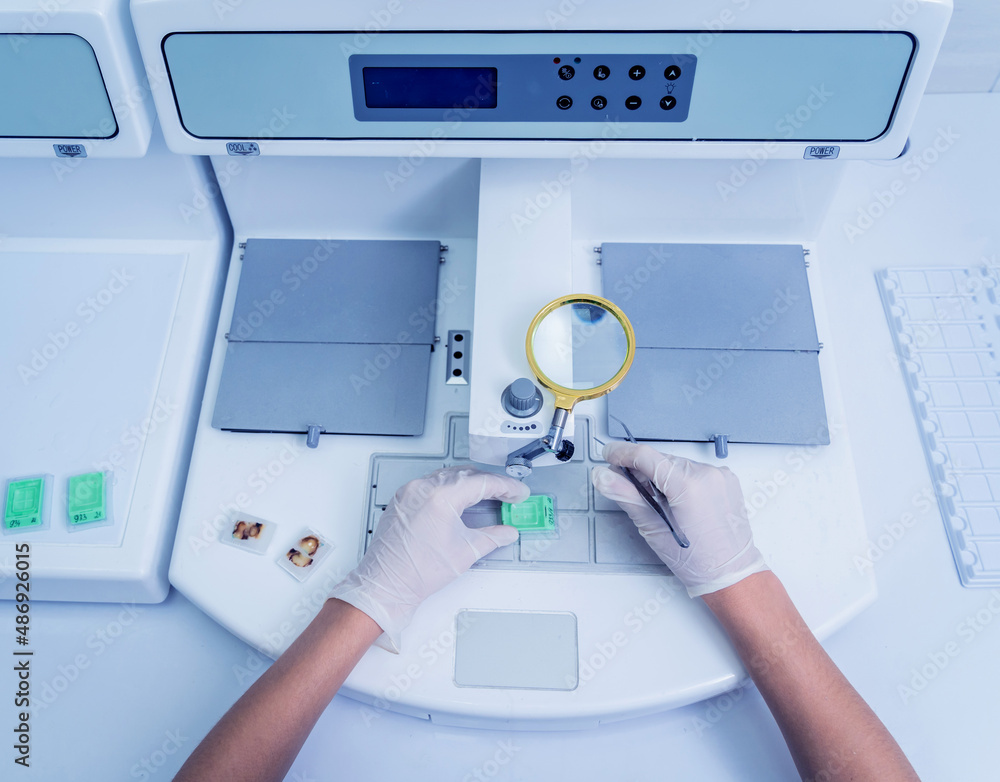 Laboratory assistant works at paraffin wax dispenser tissue embedding machine. Laboratory assistant works at paraffin wax dispenser tissue embedding machine.