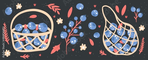 Abstract modern set of Blueberries in basket. Harvest concept. Vector hand drawn berries with flowers and leaves illustration. Isolated on black background.