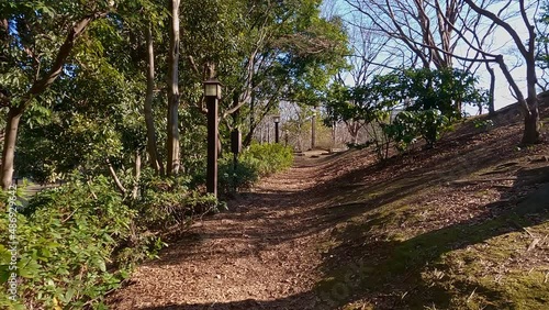 東京都江東区　猿江恩賜公園　木漏れ日の道