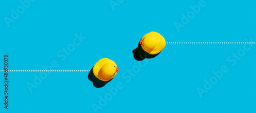 Fotografie, Obraz Toy rubber ducks moving towards opposite directions