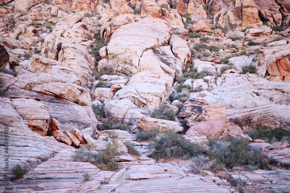 Obraz premium Mountains, Utah, Zion, Snow, Winter 