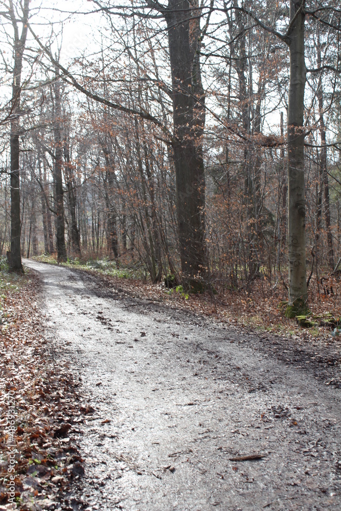 Fototapeta premium Karlsruhe Schlossgarten Park