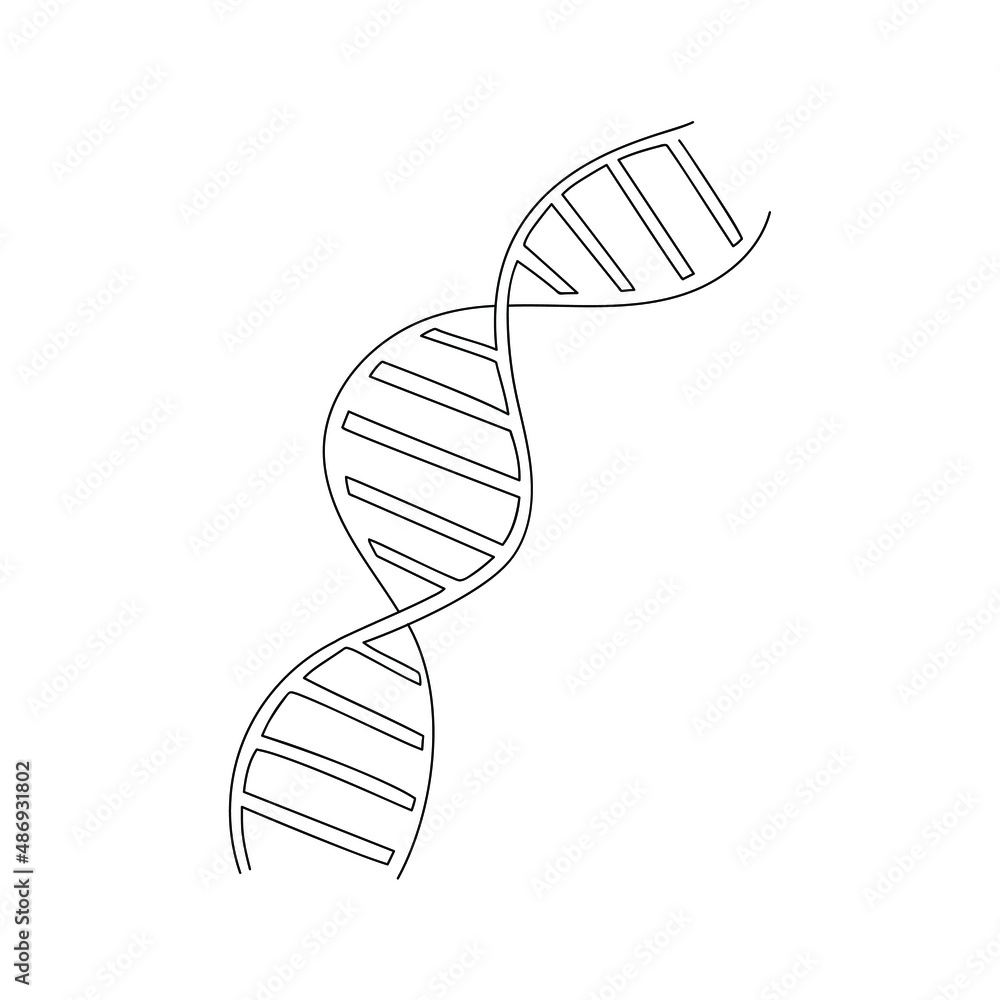 DNA Molecule Drawn In One Line Spiral Sketch Continuous Line Drawing 