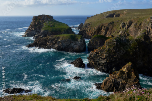 Sauvage Pointe du vent 