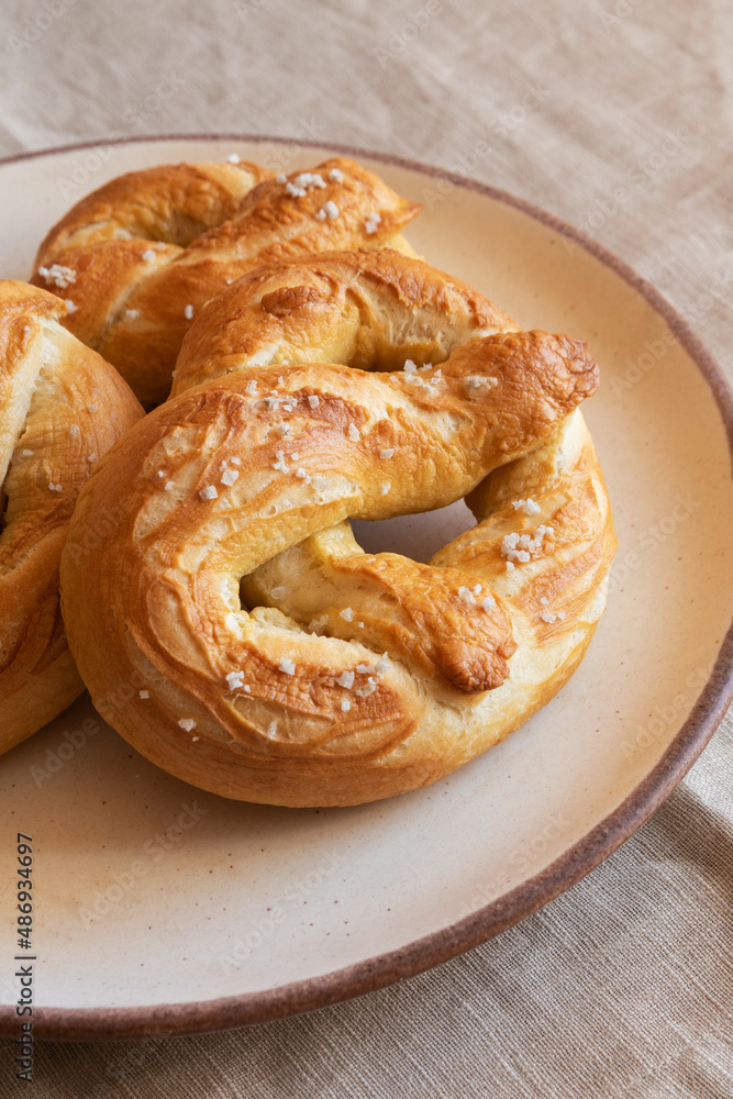 Homemade Fresh Baked Pretzel with Sea Salt Homemade Fresh Baked Pretzel with Sea Salt