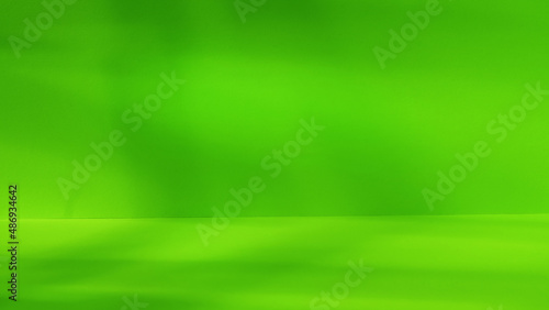 Empty green 3d studio space...