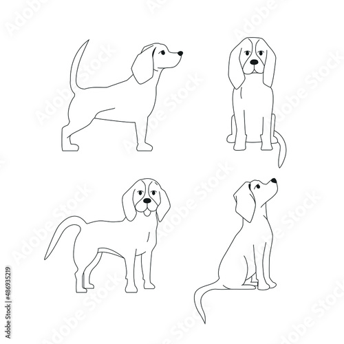 Dogs silhouette in different poses. The dog is sitting.  The dog is standing.  Beagle silhouette. Set. Vector flat illustration. profile and full face. Line art 
