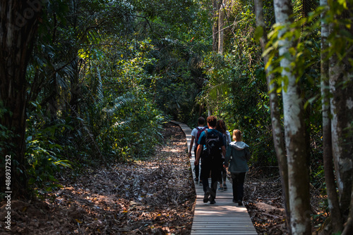 Group of tourists exploring a wooden path through Tambopata National Park to Lake Sandoval near the Amazonas (Peru, South America)