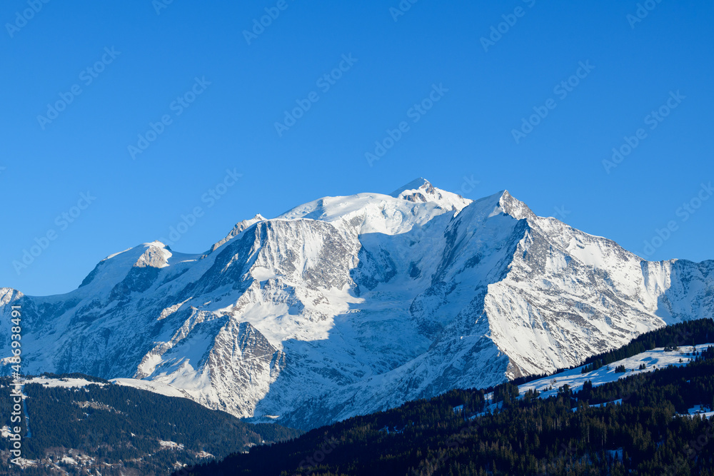 Forests and Mont Blanc massif in Europe, France, Rhone Alpes, Savoie, Alps, in winter on a sunny day.
