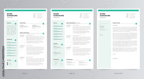 Professional Resume/CV and Cover Letter Template