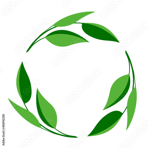 Botanical wreath of green branches and leaves. Circle foliage frame for monogram, decoration. Green laurel leaves in round composition. Minimalist vector herbal illustration on white background.