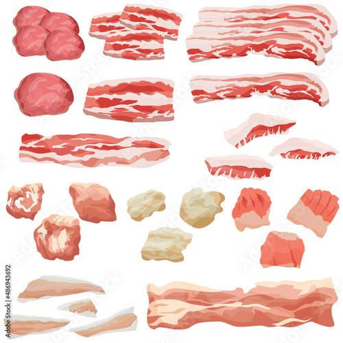 焼肉部位の豚肉セットのイラスト　ベクター