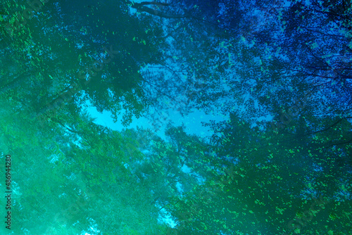青と緑の水鏡に映る木々のシルエット