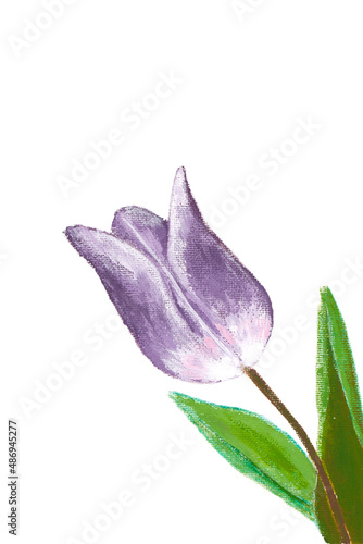 Painting beautiful flowers on a plain background.