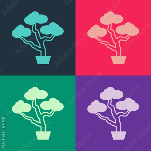 Pop art Japanese bonsai tree icon isolated on color background. Japanese culture, horticulture, olericulture hobby concept. Vector