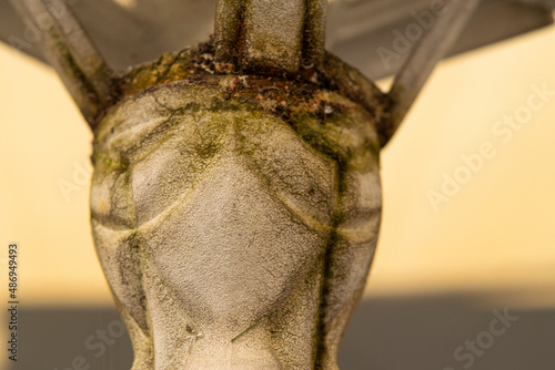 broken lantern with fungus and rust photo