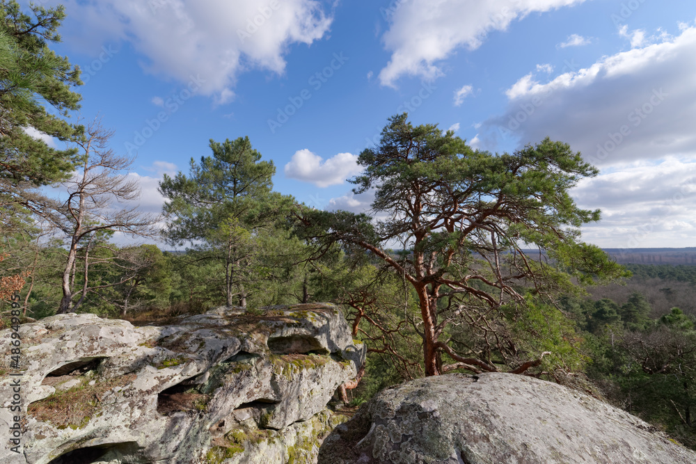 Hill of the Dame Jouanne rock in the french Gatinais regional Nature park Hill of the Dame Jouanne rock in the french Gatinais regional Nature park