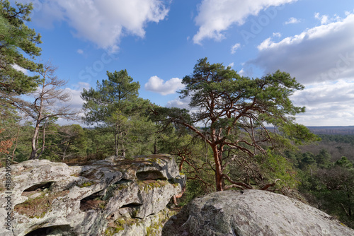 Hill of the Dame Jouanne rock in the french Gatinais regional Nature park