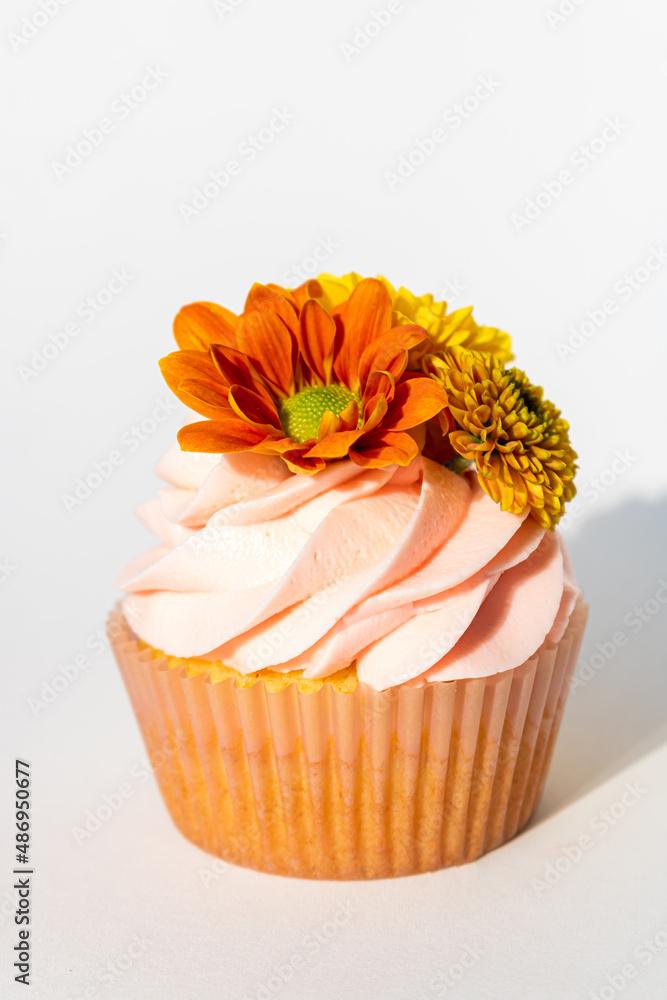 Cupcake Cupcake
