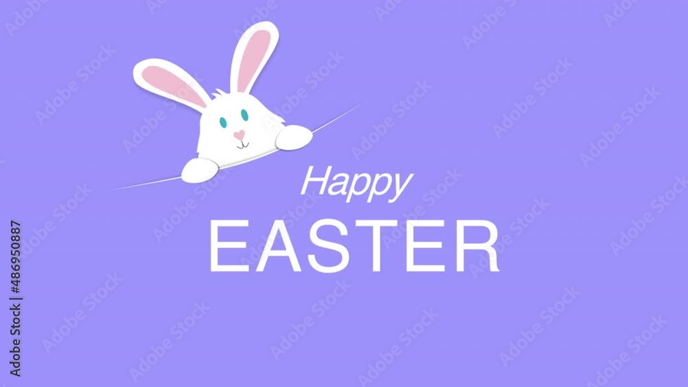 Happy Easter with fun white rabbit on purple color, motion holidays and spring style background Happy Easter with fun white rabbit on purple color, motion holidays and spring style background