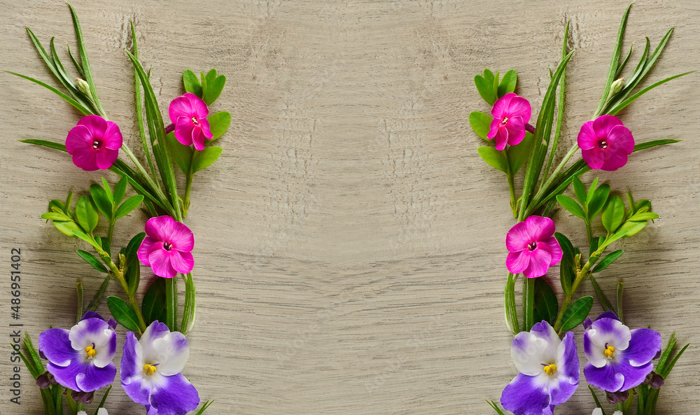 Pattern of phlox and violets on a beautiful gray background. Pattern of phlox and violets on a beautiful gray background.