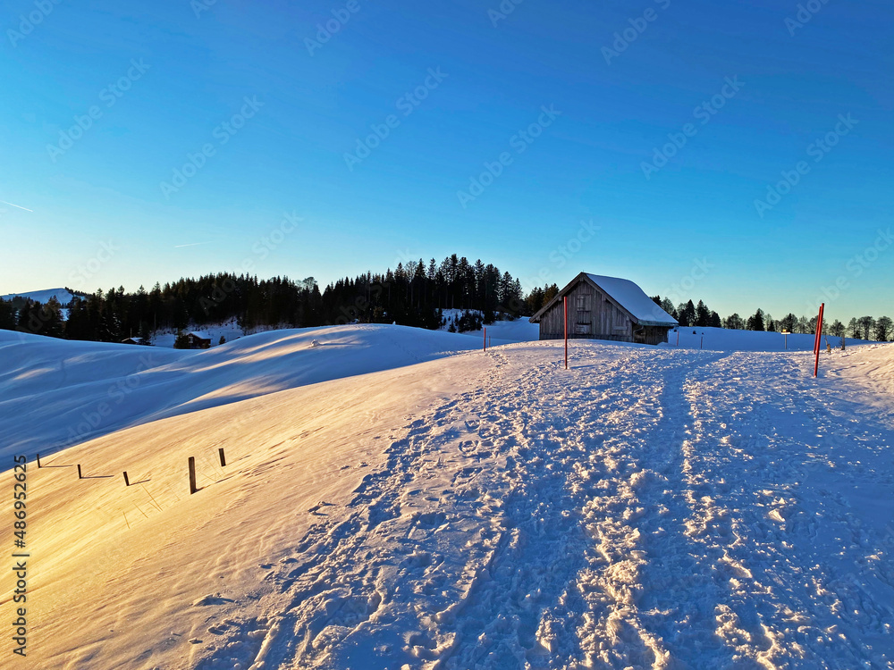 Picturesque winter alpine landscape with alpine peaks, hills, forests and pastures covered with deep fresh snow - Appenzell Alps massif, Switzerland (Schweiz)
