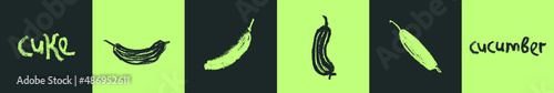Vector cucumber icon isolated. Hand drawn cuke drawing, corm illustration. Vegetarian restaurant logo. Botanical sign. Vegetable insignia for organic gherkin label. Home cooking courses emblem design.