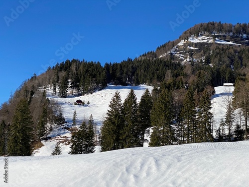 Rocky alpine hill Hinterfallenchopf or Hinderfallenchopf (1531 m.a.s.l.) in winter ambience and covered with fresh snow cover - Appenzell Alps massif, Switzerland (Schweiz)