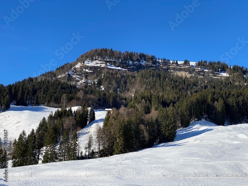 Rocky alpine hill Hinterfallenchopf or Hinderfallenchopf (1531 m.a.s.l.) in winter ambience and covered with fresh snow cover - Appenzell Alps massif, Switzerland (Schweiz)