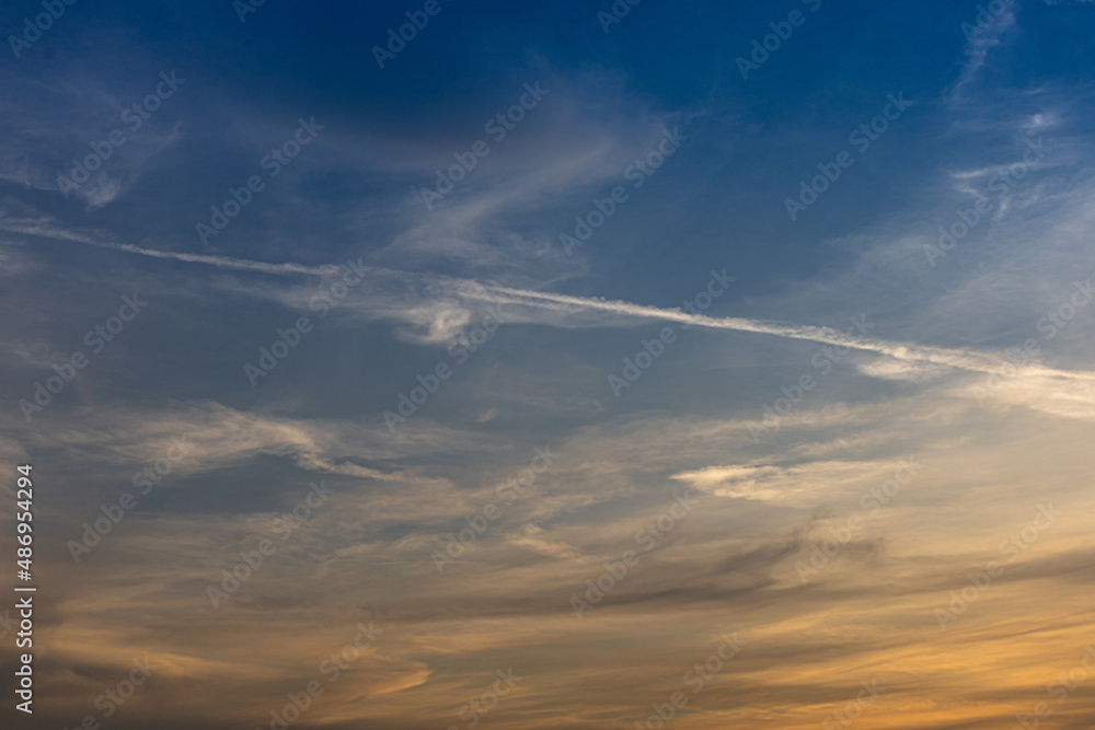 Cielo Cielo