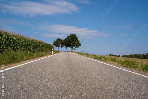 Low angle view of a road in the landscape with cornfield on the side and trees in the front on a warm day in summer