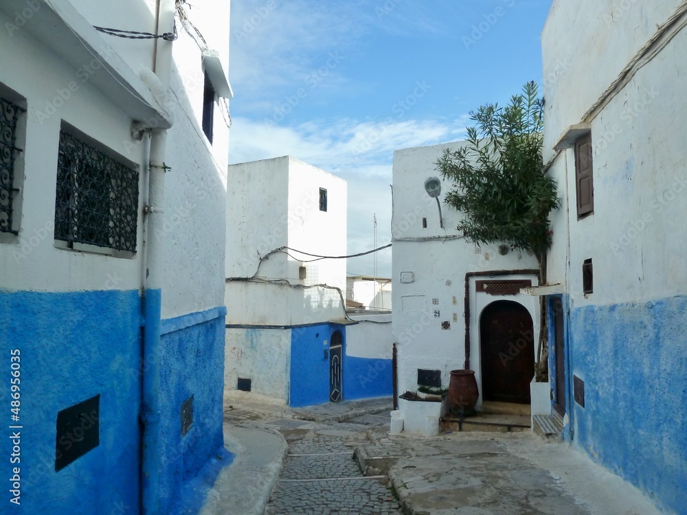 Medina in Sale, neighboring city to Rabat, noted for its blue buildings. Morocco.