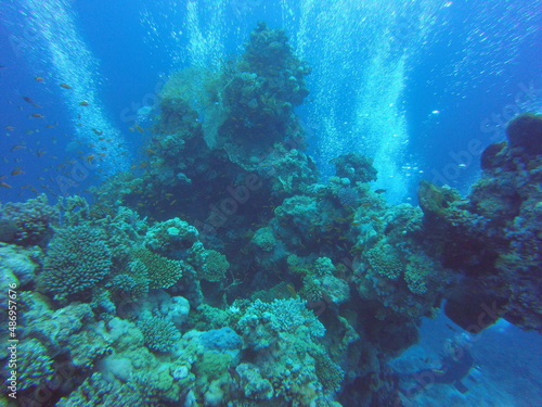 Fototapeta Naklejka Na Ścianę i Meble -  Enjoying a Beautiful Scuba Dive