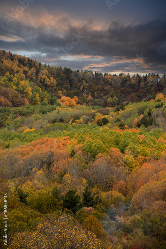 Wonderful lake view in the autumn forest. Reflection. Selective focus. High quality photo Ankara, Cubuk, Karagol