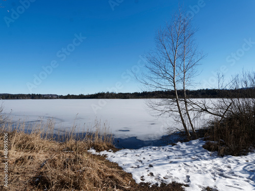 Schnee- und Eislandschaft in Oberbayern. Zugefrorener Kirchsee, kleiner Moorsee bei Sachsenkam umgeben von Buchen- und Tannenwäldern des Naturschutzgebietes bei Ellbach-Kirchseemoor © Marc