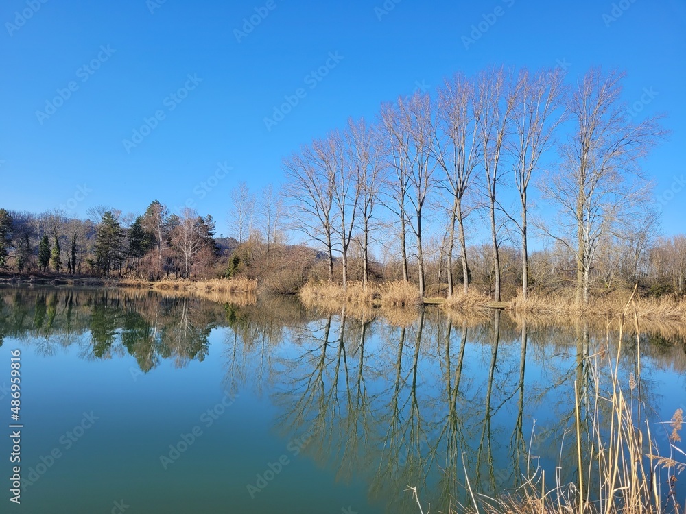 lake in the forest