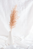 A branch of pampas grass in a white vase against a background of white fabric. Lifestyle home interior. Vertical view