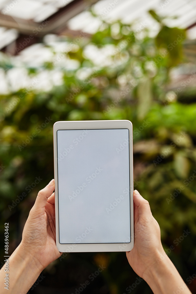 Digital tablet with blank screen held by young manager of large modern farm standing in front of flowerbed with green plants