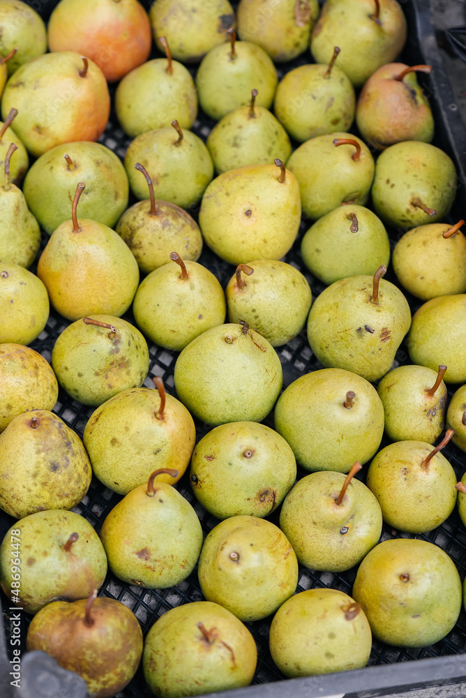 Boxes with ripe juicy pears are standing after harvesting close-up. Healthy organic food. Natural and environmentally friendly agriculture. Boxes with ripe juicy pears are standing after harvesting close-up. Healthy organic food. Natural and environmentally friendly agriculture.