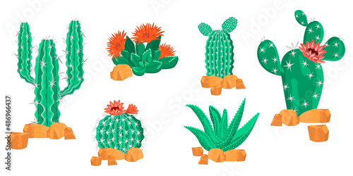 Collection of cacti and succulents in realistic style,front view.Six plants are surrounded by stones.Vector 3D illustrations are isolated on white background.Design for social media,prints,posters.
