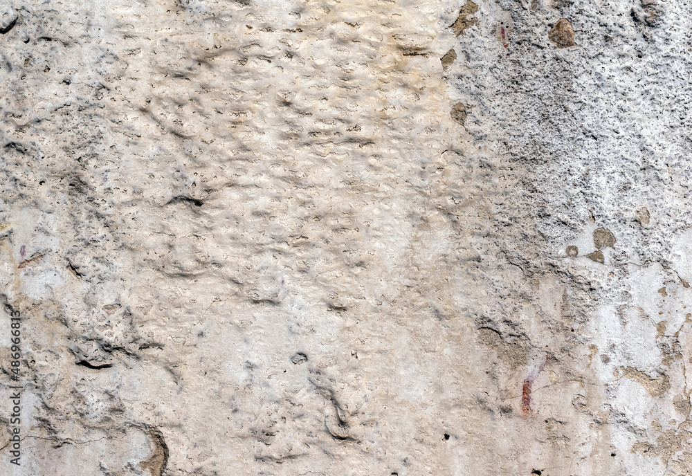 Rough concrete dirty fungus or mold texture background Rough concrete dirty fungus or mold texture background