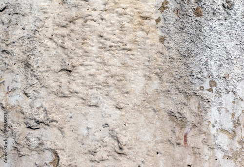 Rough concrete dirty fungus or mold texture background