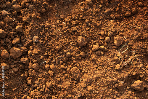 Mud Texture Image of soil