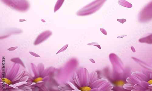 3d background with realistic pink chrysanthemum flowers and falling petals. Vector illustration