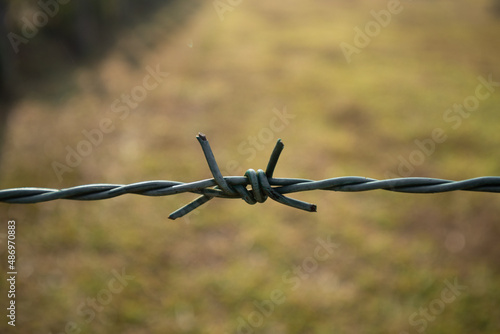 Barbed Wire close up image