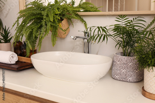 Counter with sink and many different houseplants near white marble wall