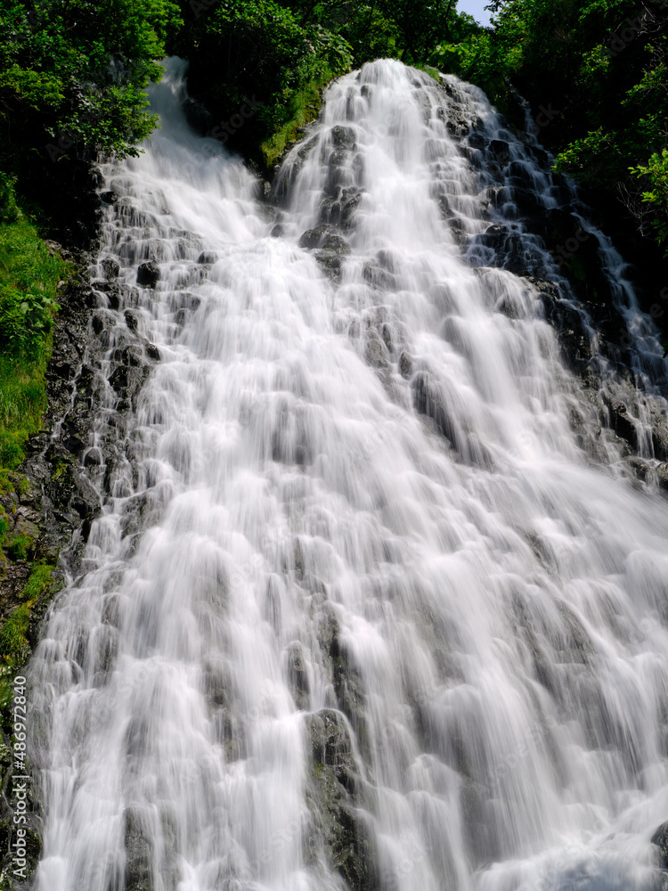 Fototapeta premium オシンコシンの滝