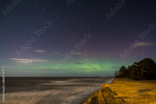 Aurora borealis, The Northern lights at the Baltic sea beach, Latvia. Pine trees.